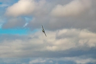 Ein Flugzeug der Bundeswehr am Himmel. © pixabay