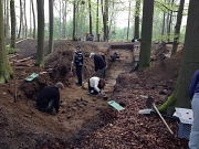 Ausgrabungsarbeiten am Königshof in Sittensen