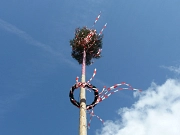 Bild eines Maibaumes vor blauem Himmel.